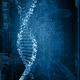 Image for article titled Your Biggest Genetic Secrets Can Now Be Hacked, Stolen, and Used for Target Marketing